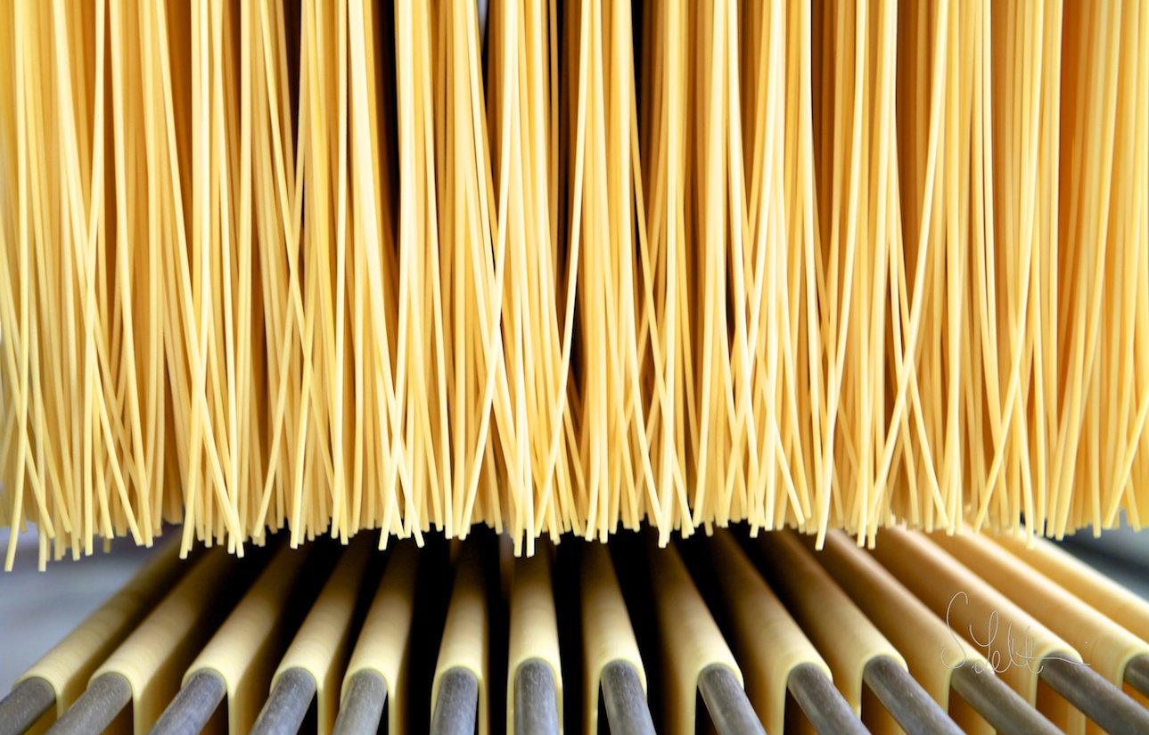 Arte & Pasta srl